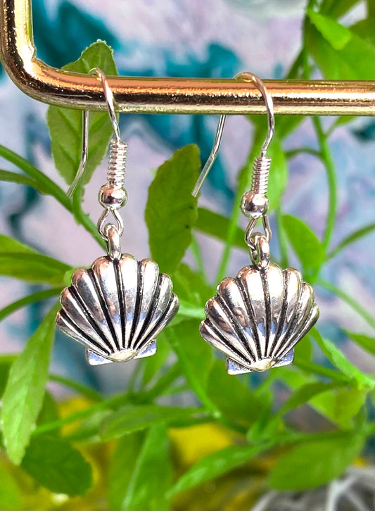 Shell Earrings